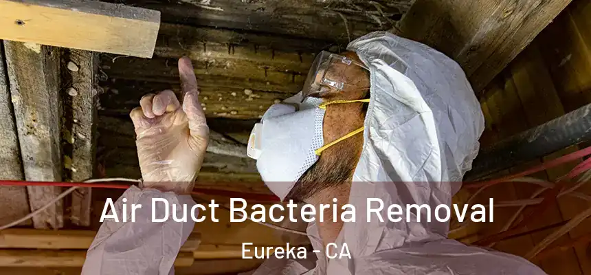 Air Duct Bacteria Removal Eureka - CA