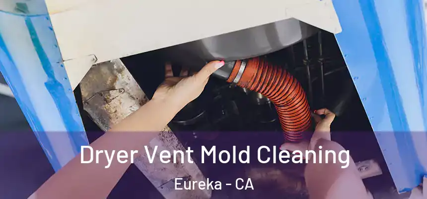  Dryer Vent Mold Cleaning Eureka - CA