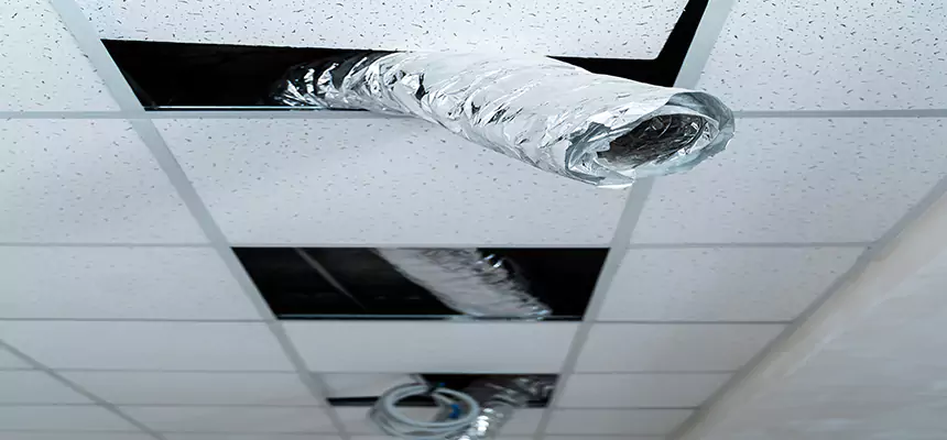 Our Air Duct Pet Hair Removal Services in Eureka, CA