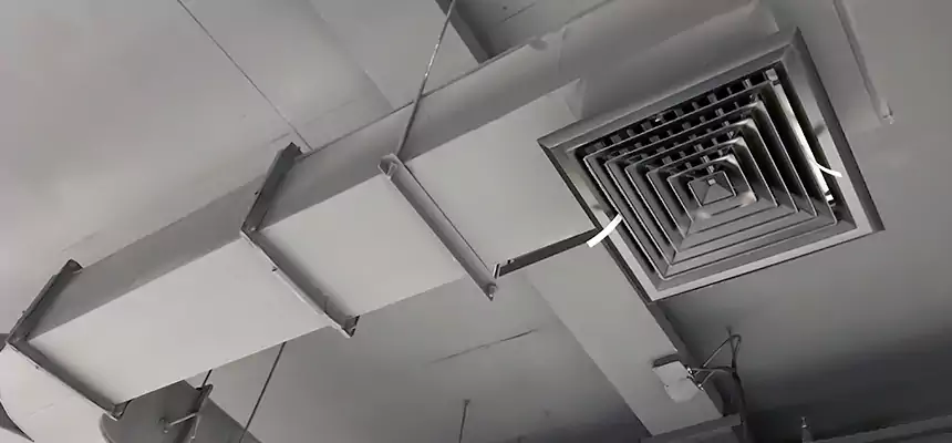 Restorative Allergy Relief Vent Cleaning – Coil, Blower & Housing Detail in Eureka