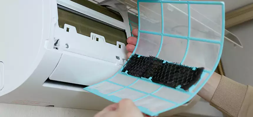 Gentle Ductwork Odor-Control Pet Dander Duct Cleaning in Eureka, CA