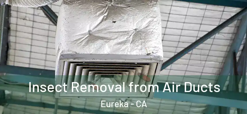  Insect Removal from Air Ducts Eureka - CA