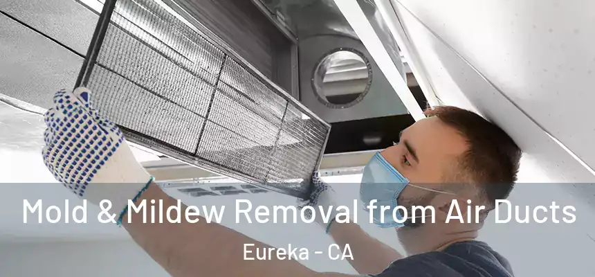  Mold & Mildew Removal from Air Ducts Eureka - CA