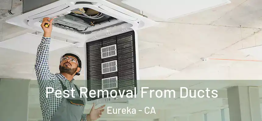 Pest Removal From Ducts Eureka - CA
