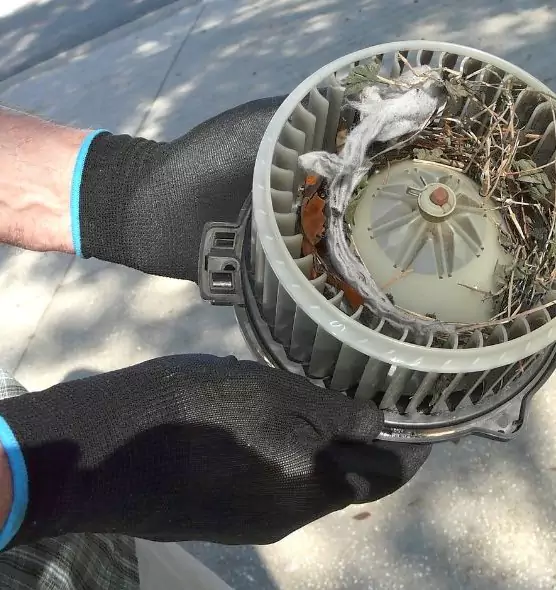 About Air Duct Mice Removal in Eureka, CA