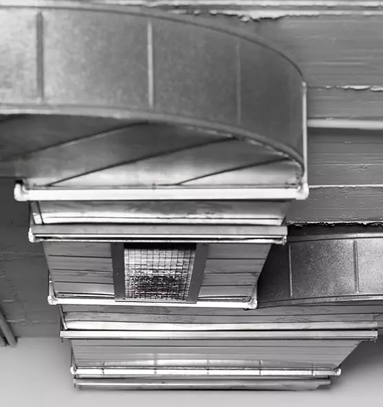 Professional Air Duct Pest Removal in Eureka, CA