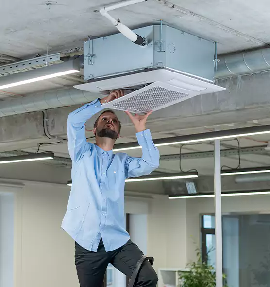 Advanced Rodent Droppings In Vents in Eureka, CA