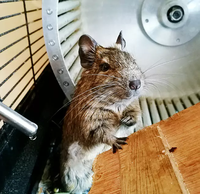 Why Homeowners & Businesses Trust Us Eureka, CA?