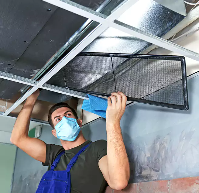 Why Homeowners Businesses Trust Us in Eureka, CA