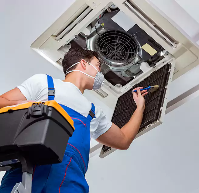 Why Homeowners & Businesses Trust Us in Eureka, CA