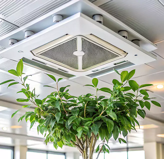 Why Homeowners & Businesses Trust Us in Eureka, CA?